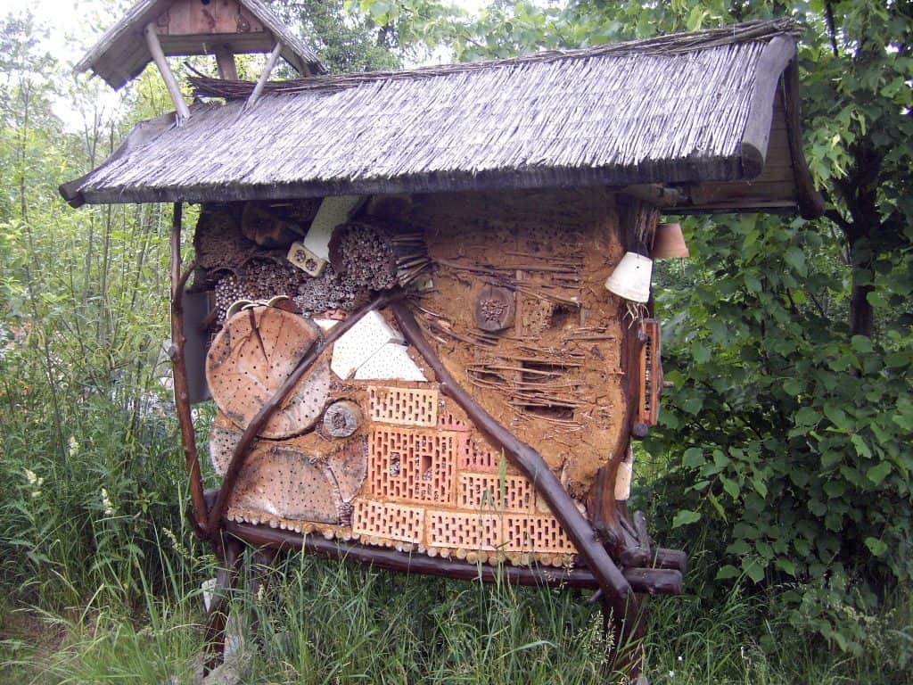 Nyt projekt skal give insekterne en hjælpende hånd