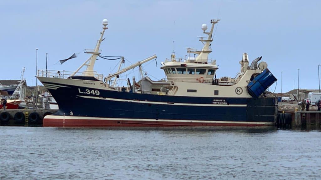 Hvide Sande skipper lander rekordstor tobis-fangst