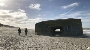 Ny direktør fundet til Danmarks største turismedestination