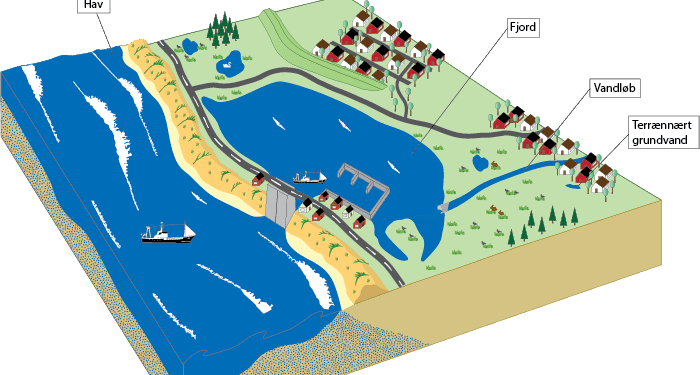 Ringkøbing-Skjern Kommune indgår som en slags »levende laboratorium« i projektet, som skal ende med, at vi finder frem til en model, der kan bruges i arbejdet med klimatilpasning i forhold til oversvømmelse, uanset om den kommer fra havet, vandløbene, fra højtstående grundvand, langtidsregn eller skybrud,