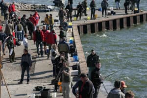 Sildefestival i Hvide Sande Pressefoto