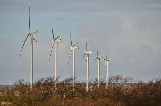 Ambitiøs klimapolitik i Naturens Rige foto: NR
