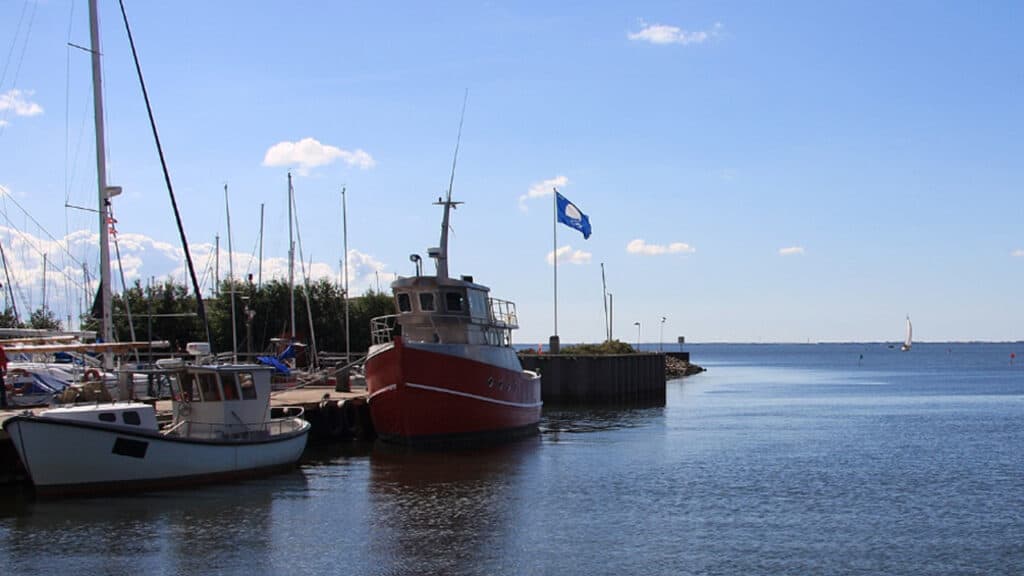 Tidligere formand for Amtets Teknik og miljø ønsker ændret slusepraksis - foto: wikip