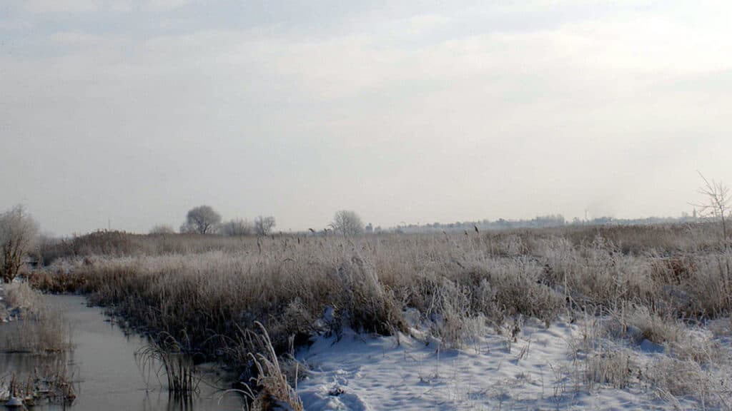 Vinterbillede arkiv wikipedia