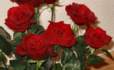 Valentinsdag er fyldt med hjertevarme og overraskelser foto: Wikipedia