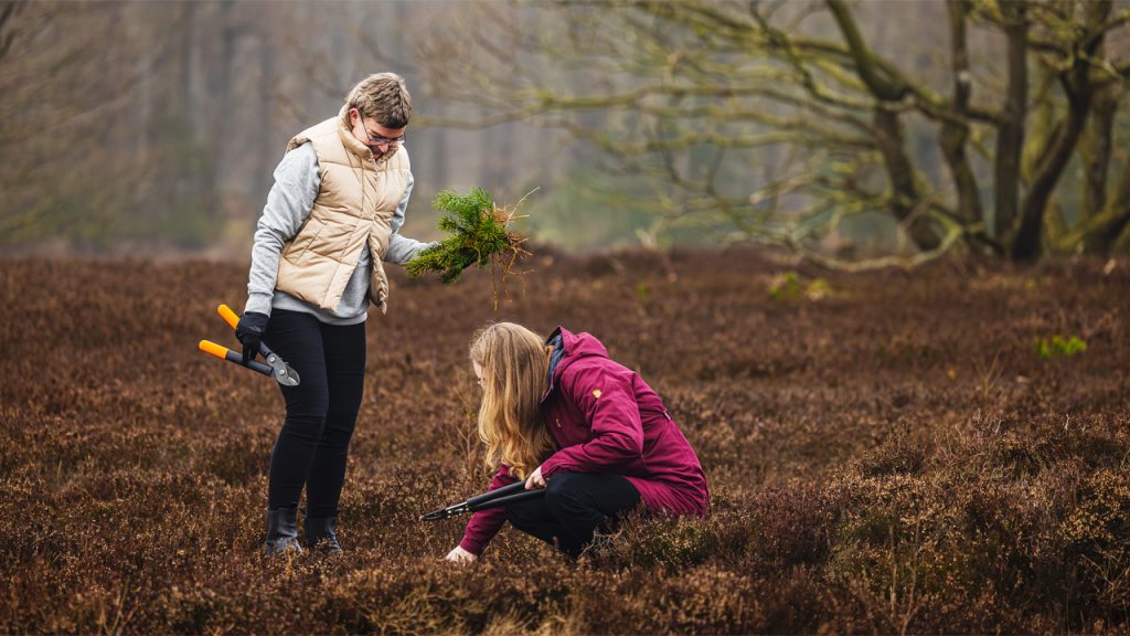 Hjælp biodiversiteten på heden foto: Sara Rønholt NR