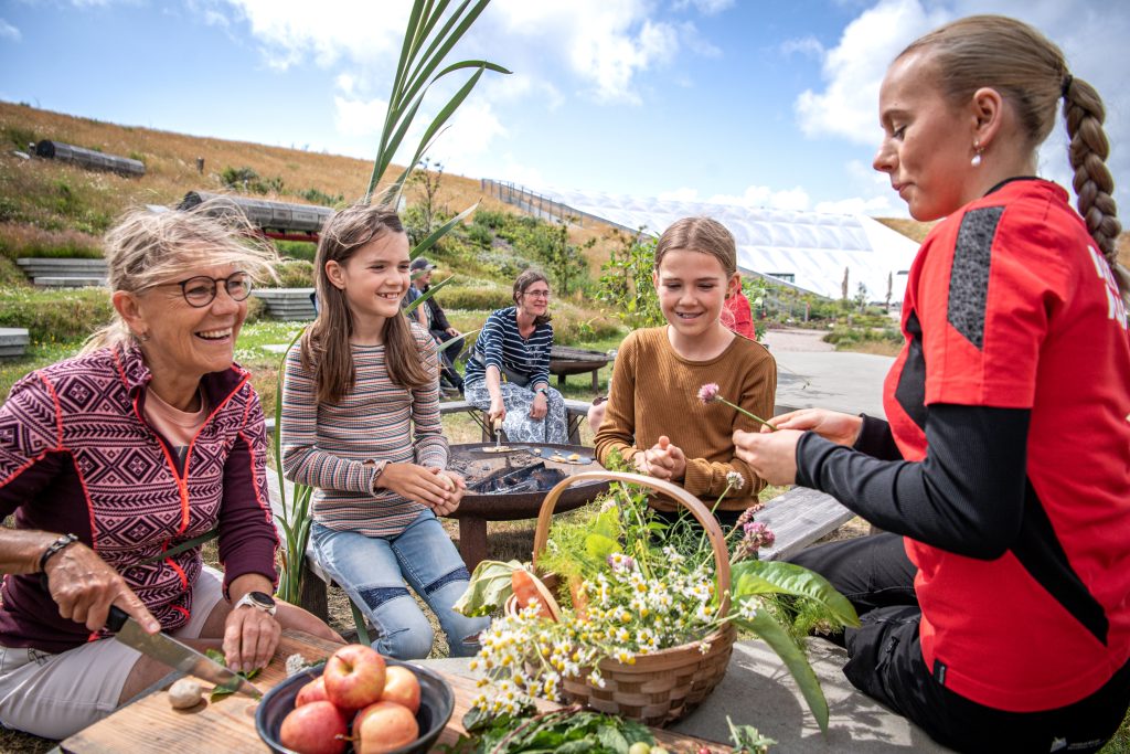 Sanke urter til brød - Naturkraft