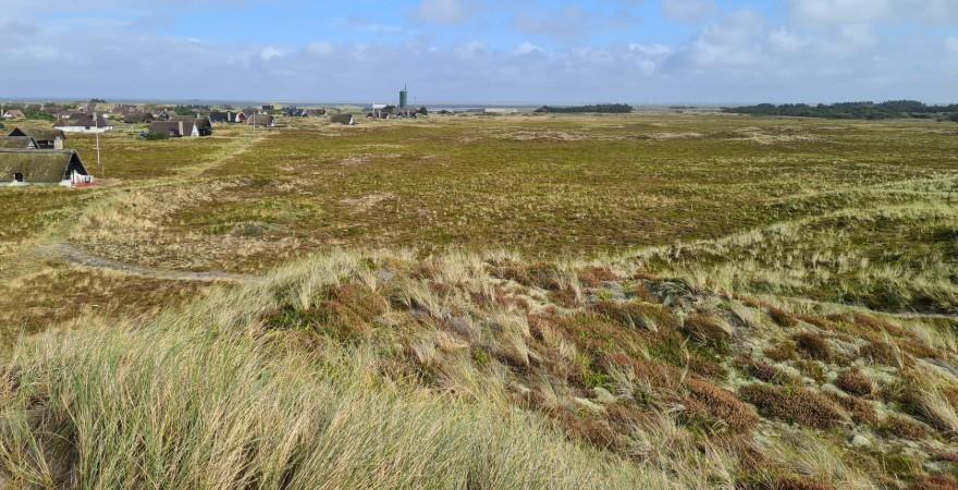 Til og med den 22. april kan man indsende høringssvar på forslaget om nyt landskabshotel på tidligere svinefarm på Holmsland Klit. foto: fra området rksk