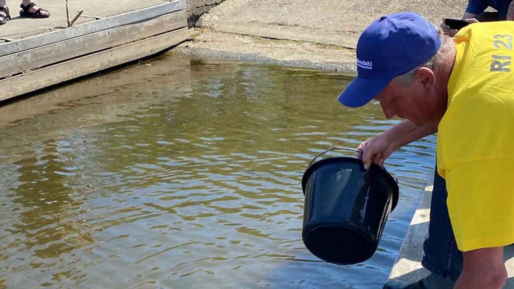 øndag den 18. maj bliver Ringkøbing Fjord fyldt med liv, når hele 250.000 små helt bliver sat ud – takket være en gruppe lokale frivillige, med støtte fra Feriepartner Hvide Sande. Bag udsætningen står Helt-klækkeriet, en forening drevet af ildsjæle, der kæmper for at bevare den vestjyske nationalfisk – helten – og dermed en vigtig del af områdets natur og kultur. foto: Feriepartner