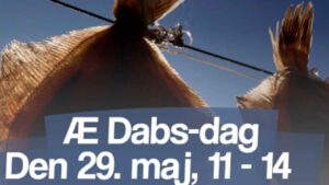 Torsdag den 29. maj, på Kristi Himmelfartsdag, dufter Hvide Sande af noget helt særligt. Her fejres den traditionsrige »Æ Dabs-dag«, hvor én af Vestjyllands mest unikke egnsspecialiteter får lov at stå i centrum: den saltede og vindtørrede ising, bedre kendt lokalt, som dabs. foto: HvideSandeBy