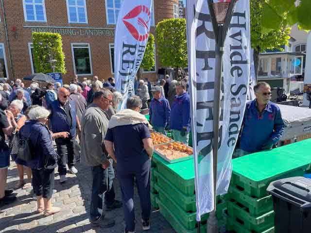Hesterejeburger - hvide sande rejer - hvidesande.nu