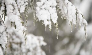 Når vinterens hårde frost afløses af tøvejr, er det et kritisk tidspunkt for boligejere. Skjulte skader fra frosne vandrør kan vise sig netop nu – og de kan blive både dyre og besværlige, hvis de ikke opdages i tide. - arkivfoto-id-75595448-yayimages - hvidesande.nu