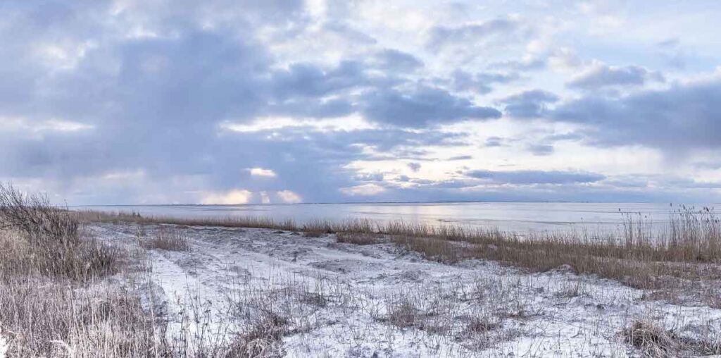 Ringkøbing Fjord - Den grønne trepart - Rksk