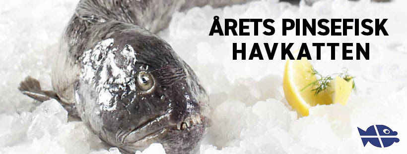 Årets pinsefisk er havkatten - Danmarks Fiskehandlere