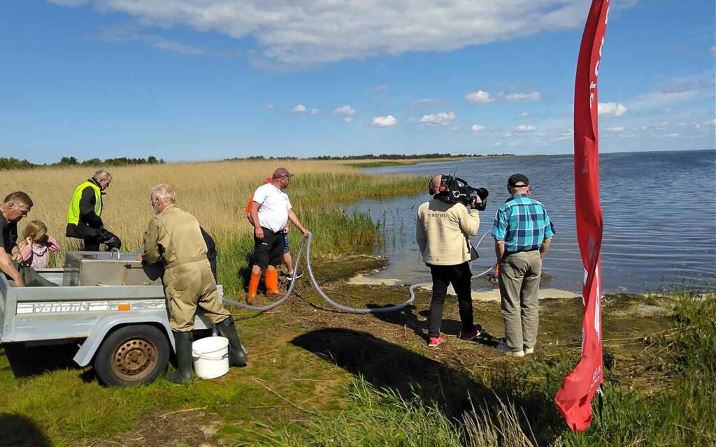 Hverdagens helte fra Ringkøbing Fjord