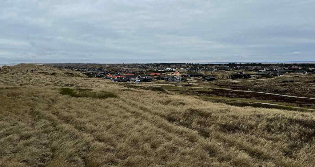 Bjerregaard Holmsland Klit - foto: wikip