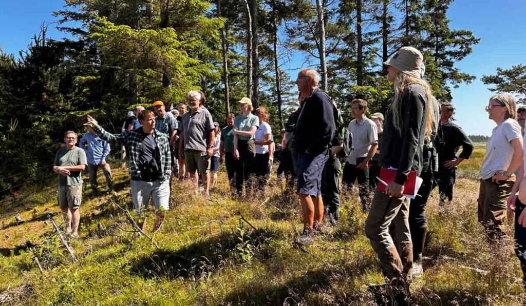 Ca. 50 naturmedarbejdere fra kommuner og partnere i den grønne trepart var torsdag på tur i Nationalpark Thy med det formål at dele viden og erfaringer i arbejdet med omlægningsprojekter. foto: rksk