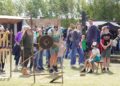 Bork Vikingmarked
