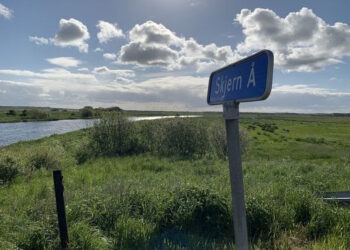 Efter to strandede forsøg, arbejder Ringkøbing-Skjern Kommune igen på at få etableret en nationalpark omkring Danmarks vandrigeste å og floddelta. - rksk