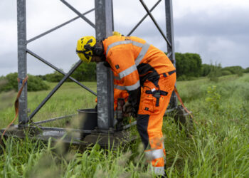 270 gamle elmaster på vej væk fra det vestjyske landskab
